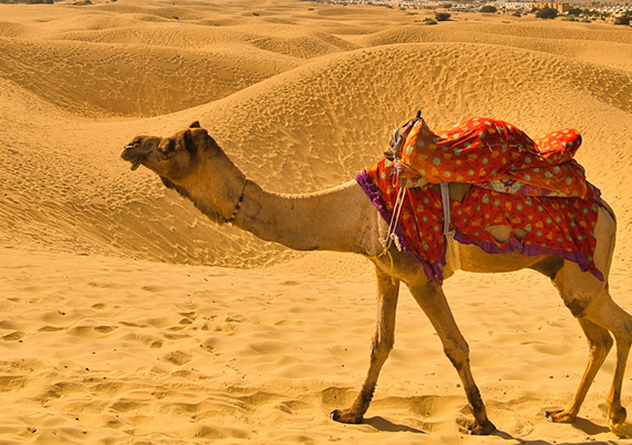 sunrise over white desert