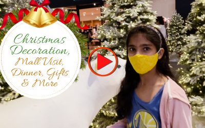 Christmas Decoration, Mall Visit, Dinner, Gifts & More