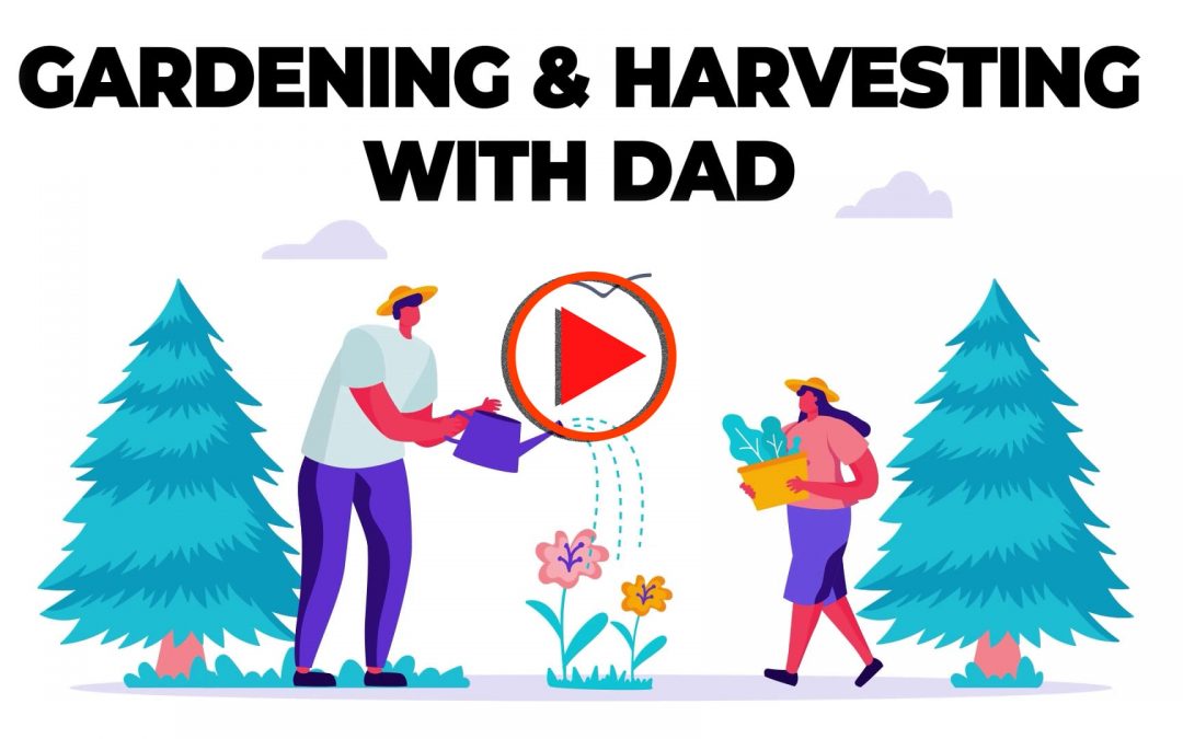 Gardening & Harvesting with Dad