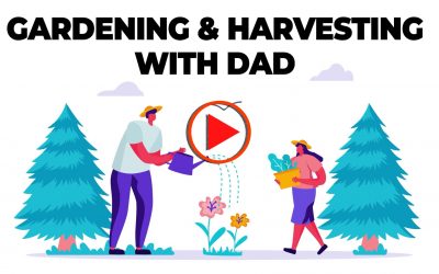 Gardening & Harvesting with Dad