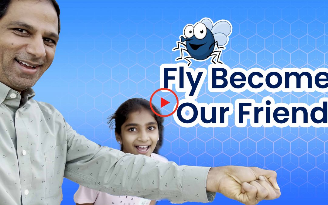 Fly Becomes Our Friend