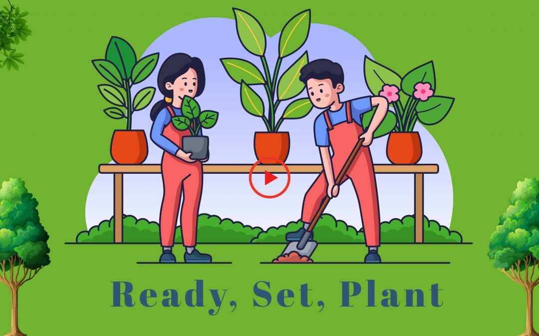 Ready, Set, Plant